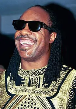 Stevie WonderWorldCrutches Famous People With Disabilities